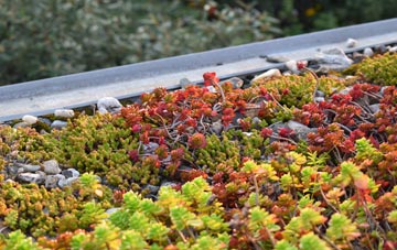 the cost of Swingleton Green green roof installation