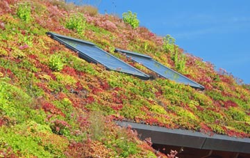 Swingleton Green living roof systems