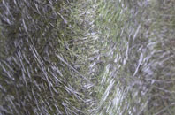 Swingleton Green fibreglass roof work