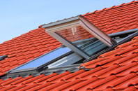 Swingleton Green roof window